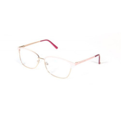 Gafas Protecvision Metallic Ii Mulhacen +4.00